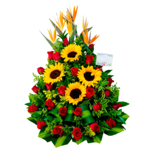 Flores Barranquilla